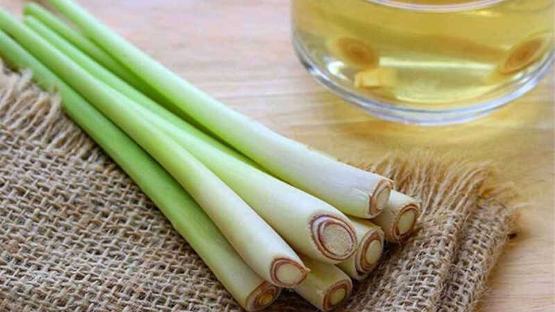 Đuổi muỗi bằng sả    