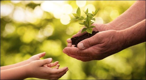 Học hỏi không chỉ là việc chúng ta làm khi còn Mừng SHBET phiên bản mới 2025, mà là việc chúng ta phải làm trong suốt cuộc đời. (ảnh minh họa)