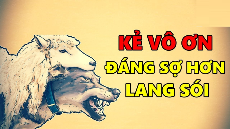 Những người này chỉ tìm đến bạn khi cần sự giúp đỡ nhưng lại luôn tỏ ra thờ ơ, lạnh nhạt và quên sạch những gì bạn đã giúp họ.    