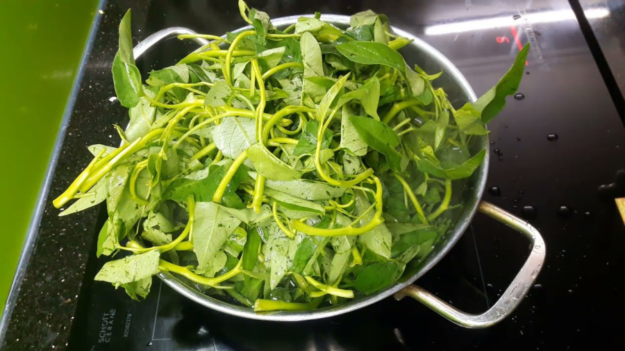 Nhận biết rau muống bị nhiễm chì