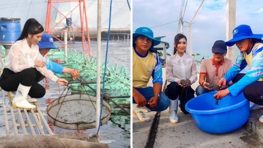 Mô hình nuôi tôm công nghệ cao của chị Phan Thị Mỹ Linh, xã Bình Thạnh (huyện Thạnh Phú, tỉnh Bến Tre). Ảnh: Internet