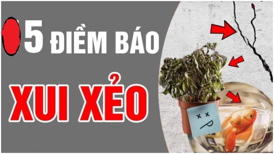 Dấu hiệu Shbet111 slot, casino, thể thao, xổ số sắp gặp vận xui