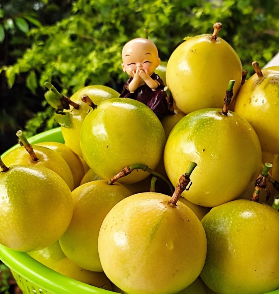 Chanh leo giúp tăng cường hệ miễn dịch