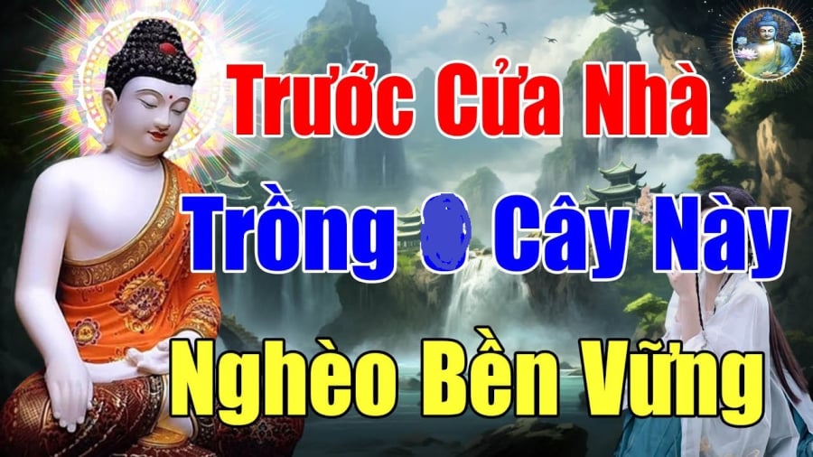 4 loại cây không trồng trước nhà hao tài tán lộc