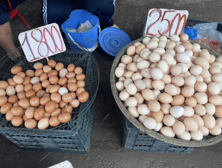 Theo dự đoán, tình trạng này còn phải tiếp diễn thêm 1,2 tháng tới chờ cho hoạt động của các công ty và người dân ổn định lại Shbet16 chơi game trực tuyến sau mùa lễ hội hậu Tết Nguyên đán.