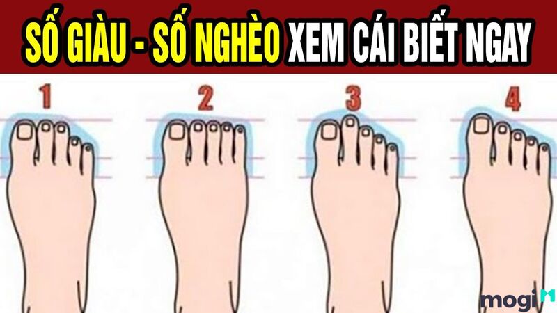 Người có ngón chân cái dài nhất, sau đó các ngón chân dần ngắn lại thường là người mang tính cách hướng nội, ít nói, kiệm lời, giỏi che giấu cảm xúc của bản thân. 