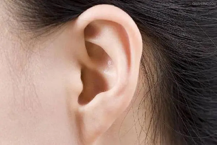 Người có dái tai dày cũng là người biết yêu bản thân mình. (Ảnh minh họa)
