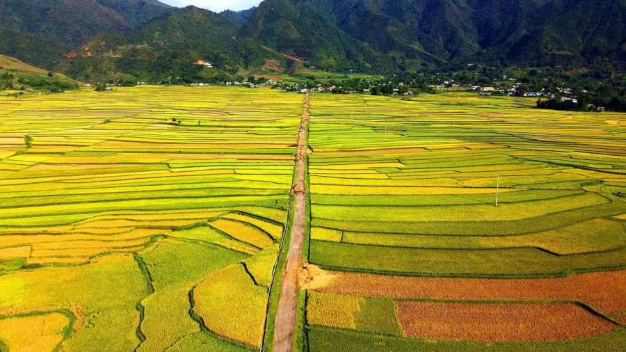 Mường Than, một trong tứ đại cánh đồng lớn của vùng Tây Bắc