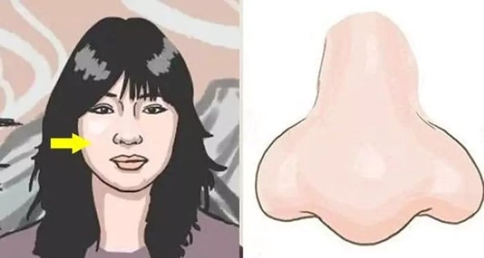 Những người này càng về sau càng sung túc