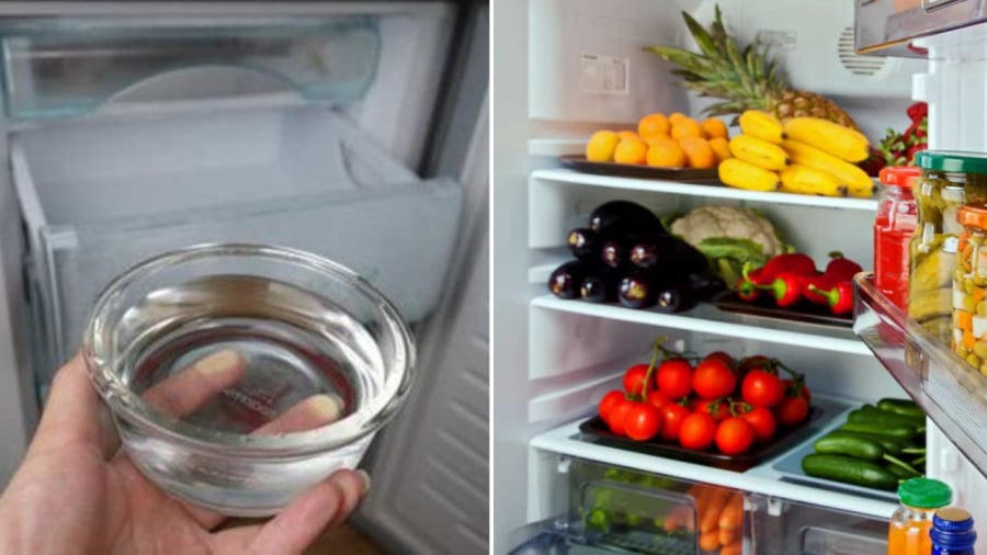 Đặt bát nước vào ngăn đá tủ lạnh qua đêm. Khi nước đông thành đá, bạn có thể chuyển nó sang ngăn mát.
