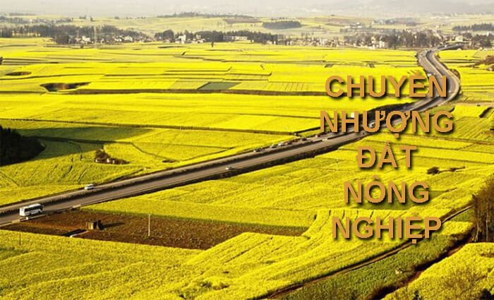 Trường hợp nào xây nhà trên đất nông nghiệp không bị xử phạt