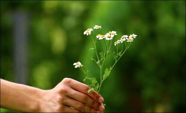  Nhìn quá rõ ràng sẽ làm tổn hại con mắt, nghĩ quá nhiều sẽ mệt mỏi tinh thần.  (ảnh minh họa)