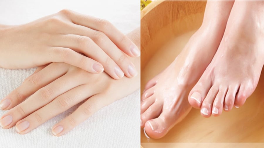 Đường vân tay và hình dáng bàn chân cho thấy những chủ kiến của họ