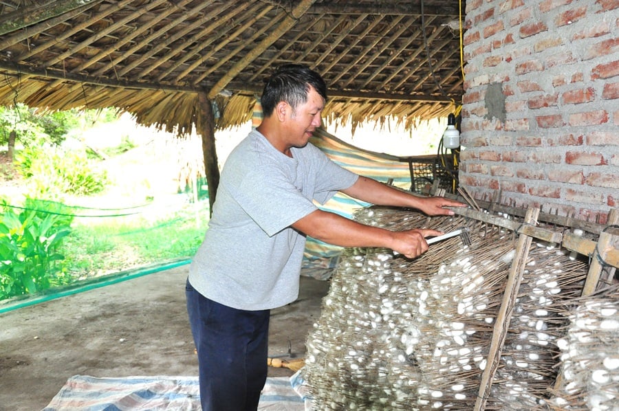 Nghề nuôi dâu tằm  
