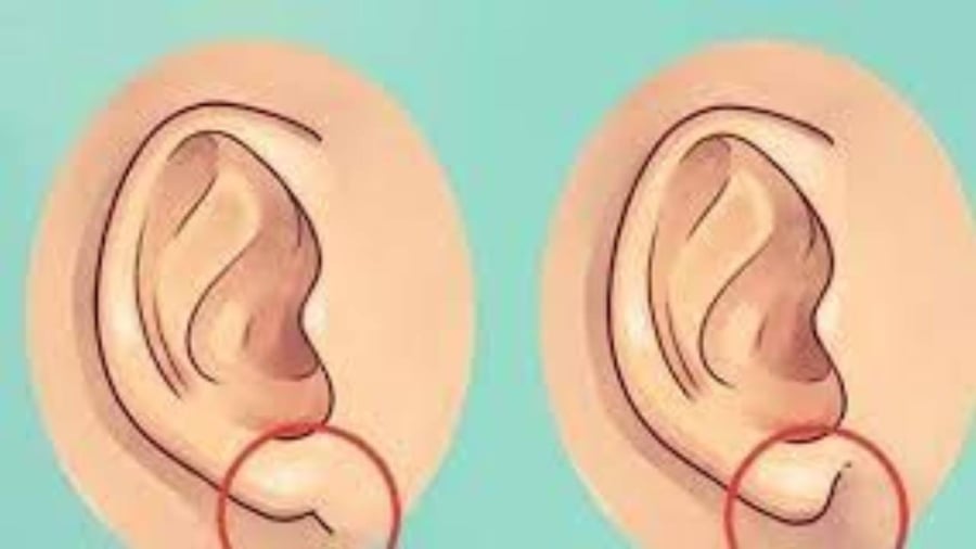 Theo nhân tướng học, người có dái tai dày thường rất may mắn, sở hữu phúc khí lớn. 