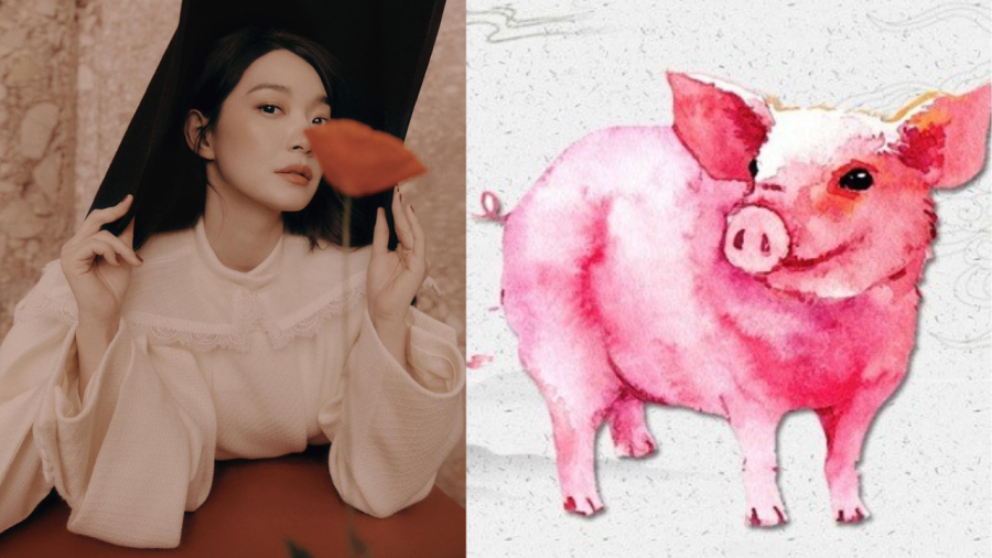 Tuổi Hợi không chỉ có sự nghiệp thăng tiến và Shbet800 tải ứng dụng cũng tăng phi mã.