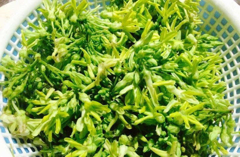 6 loại rau không bị nuôi hóa chất