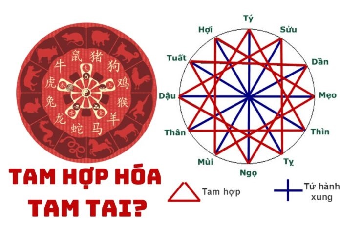 Con giáp Tam Tai