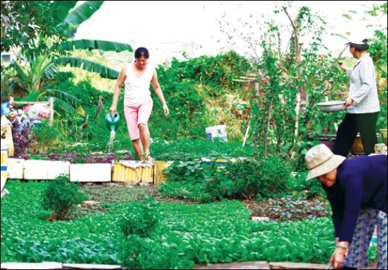Nếu có hàng xóm tốt thì đó là điều cực kỳ quý giá.  (ảnh minh họa)
