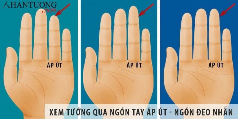 Vân danh tiếng là đường vân dọc chảy thẳng và kéo dài qua 3 đốt của ngón áp út, phản ánh sự tài năng và năng khiếu về văn học, nghệ thuật của chủ nhân.