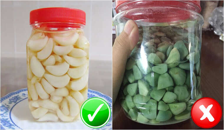 Hiện tượng đổi màu xanh này thường xảy ra với tỏi còn non hoặc chưa ngâm đúng nồng độ, tỏi già ít khi bị. 
