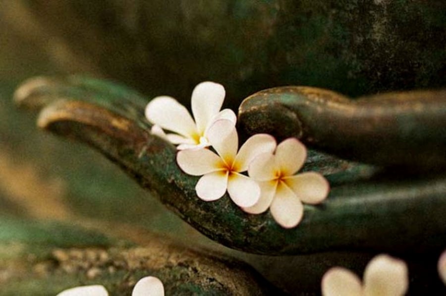 Mọi khó khăn chỉ là tạm thời, hãy lạc quan tiến về phía trước 