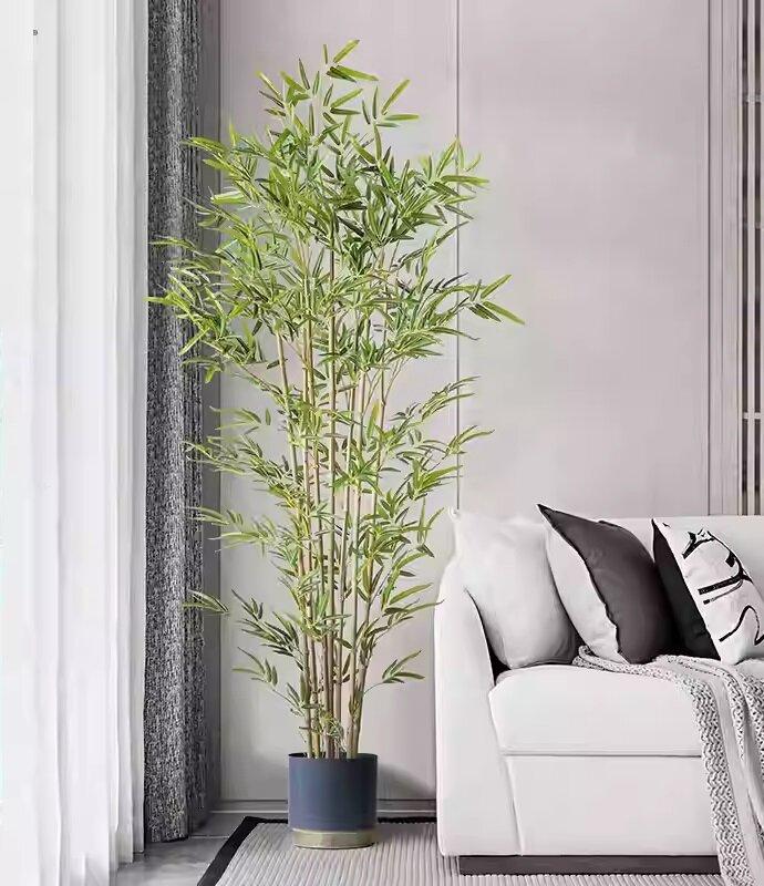 Cây trúc thường được chọn làm cây phong thủy để trấn áp năng lượng tiêu cực hay tà khí