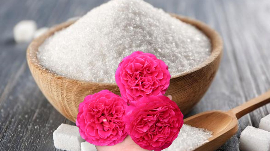 Đường giúp hoa nở đẹp hơn