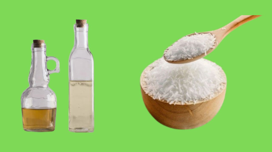 Mì chính và giấm cũng là gia vị mà cây yêu thích