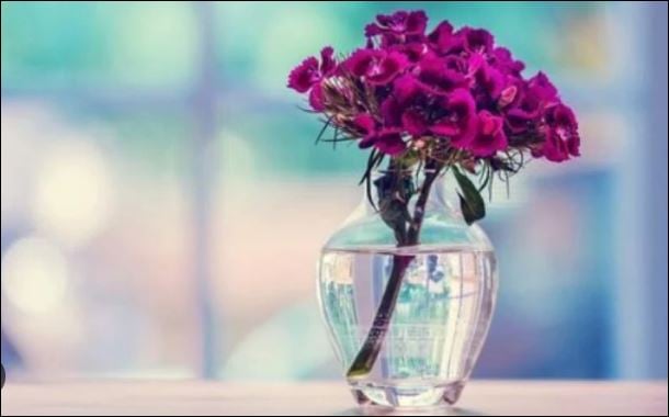 Làm người nhất định phải giữ chữ tín, đừng hứa cho sang mồm rồi để đó. (ảnh minh họa)