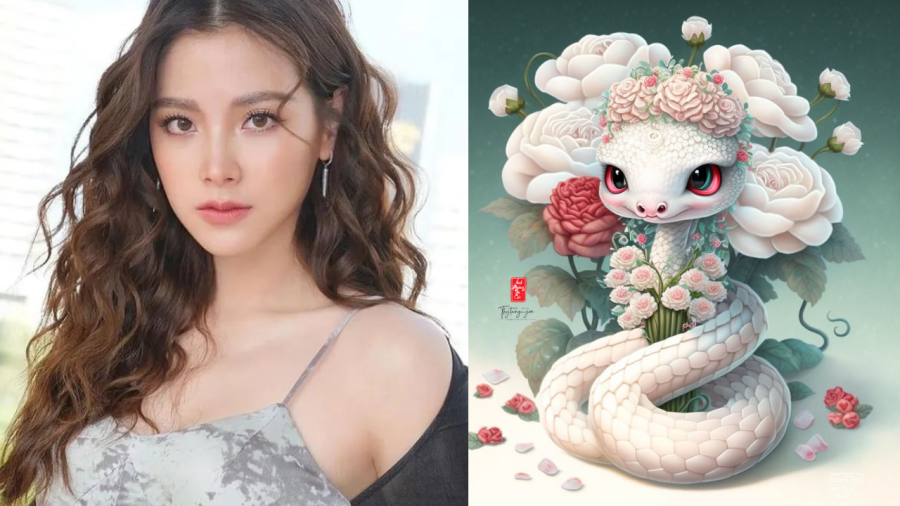 Chín chắn, chân thành, tinh tế… chính là những “điểm cộng” lớn của người tuổi Tỵ.