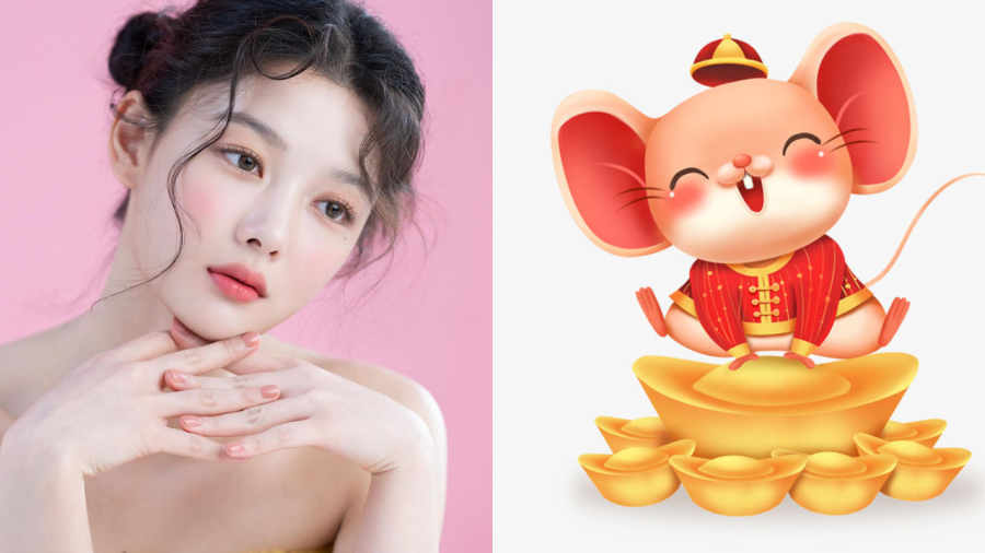 Người tuổi Tý đi đến đâu cũng được mọi người xung quanh yêu mến.