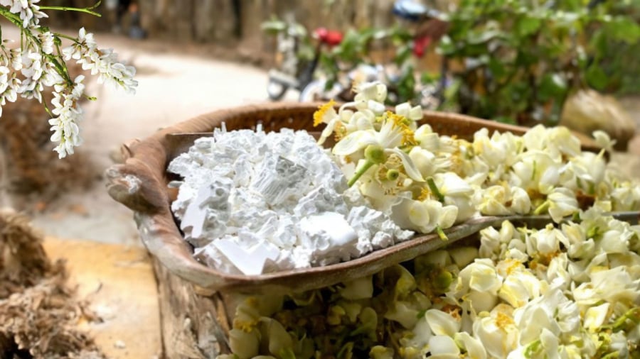 Hoa bưởi có thể làm bột sắn nhanh bị mốc hơn