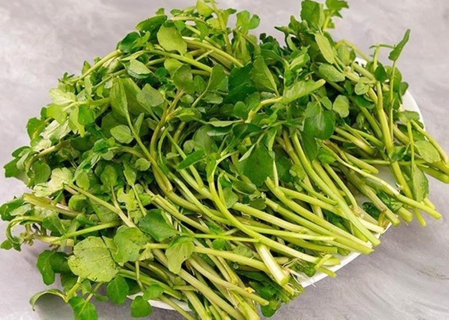 Cải xoong (xà lách xoong)