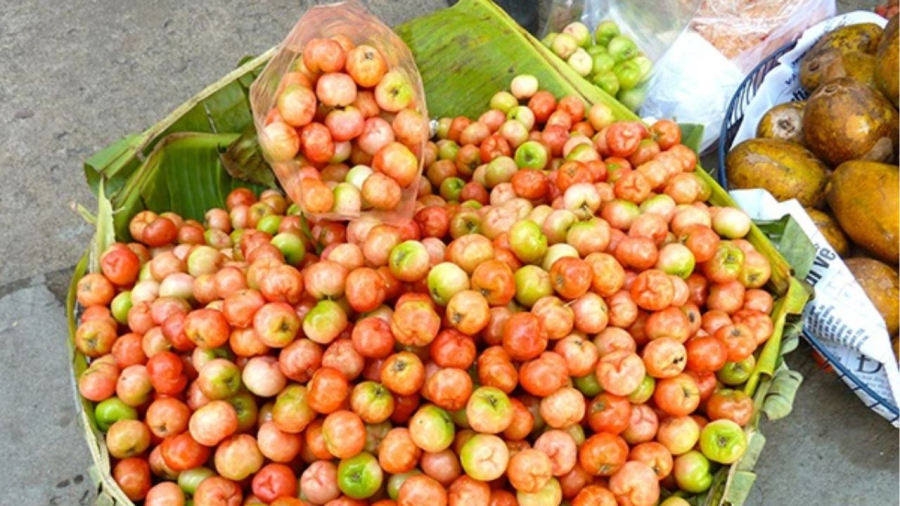 Trái sơ ri giàu vitamin C