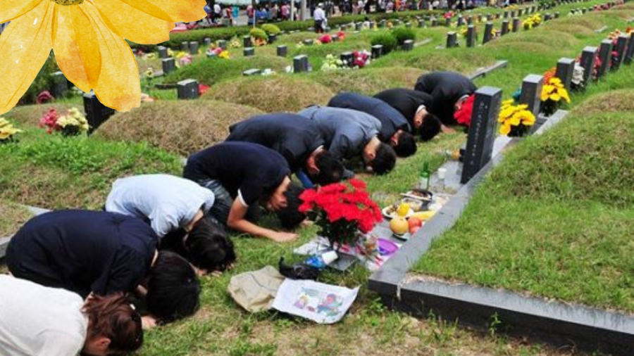 'Núi cao hơn mộ tổ, con cháu nhà tan cửa nát', có nghĩa là gì?