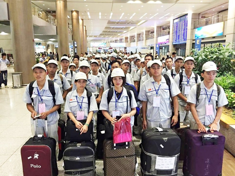 Có 5 nhóm đối tượng được vay vốn đi làm việc ở nước ngoài theo dạng hợp đồng