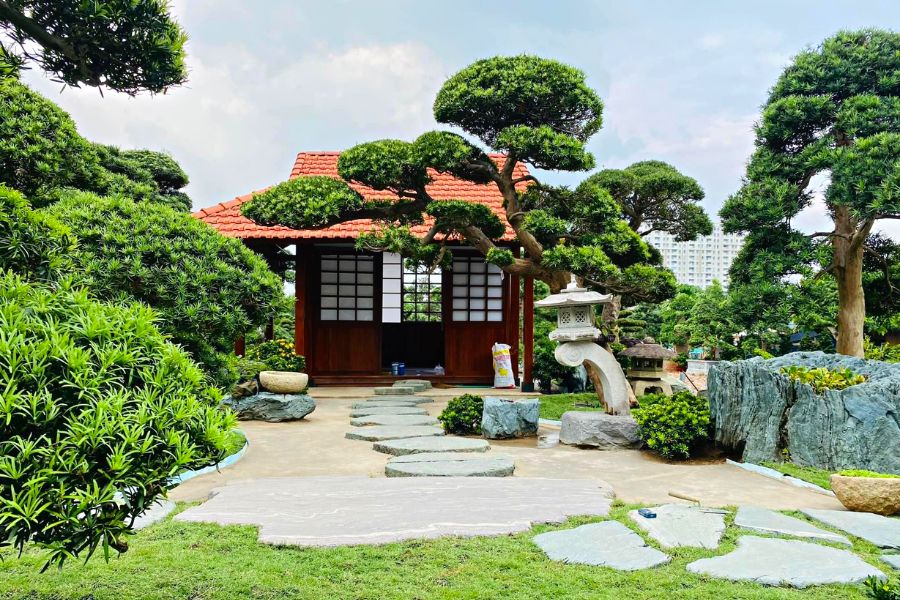 ây có lá xanh mướt quanh năm, chịu được mọi tác động của thời tiết khắc nghiệt, nên nó còn là biểu tượng cho sự phát triển không ngừng, vượt qua mọi nghịch cảnh và mang lại sự phồn vinh cho Shbet16 chơi game trực tuyến. 