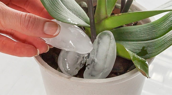 Đá lạnh có nhiều tác dụng quý