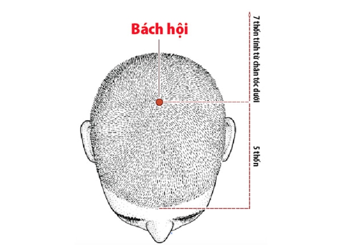 Huyệt Bách hội