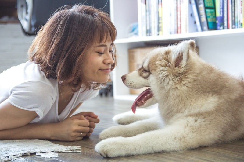 Nuôi chó cái nếu không để ý thì rất khó chịu. 