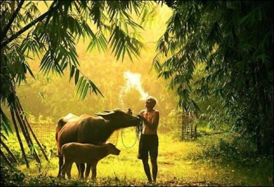 Khi bạn bị hãm hại, nói xấu sau lưng thì hãy cứ im lặng mà ngậm bồ hòn làm ngọt (ảnh minh họa)