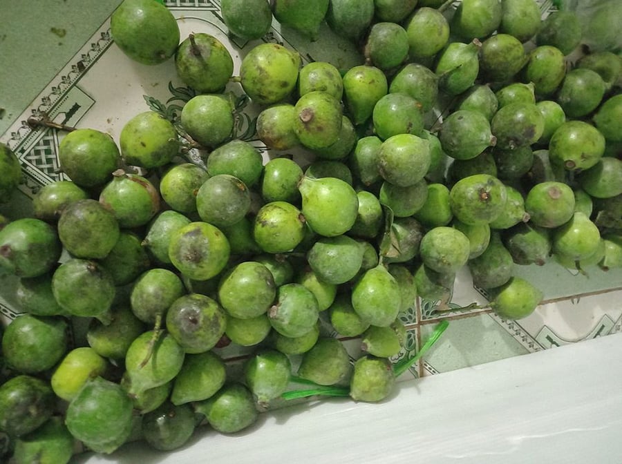 Trái dọc có một hương vị chua thanh tao, khác biệt so với trái sấu hay quả chanh