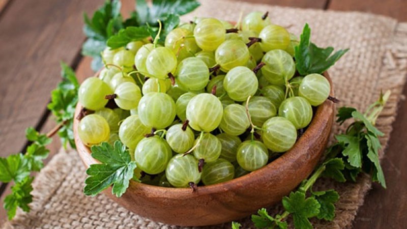 Giá của me ngâm sẵn hoặc mứt me rừng lên tới khoảng 100.000 đồng/kg