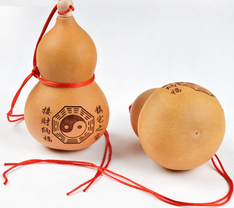 Nên để bầu hồ lô
