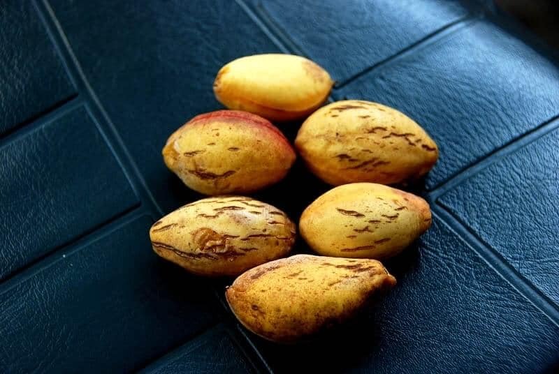Giá của hạt bàng có thể biến đổi tùy thuộc vào nơi bán và chất lượng của sản phẩm.