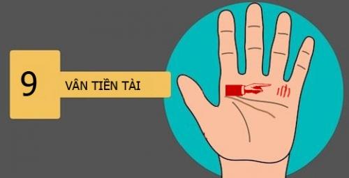 Đường vân tiền tài    