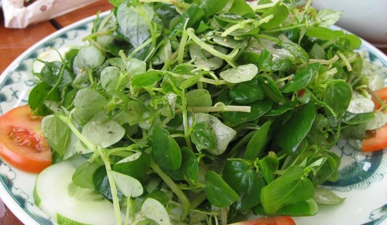 6 loại rau không bị nuôi hóa chất