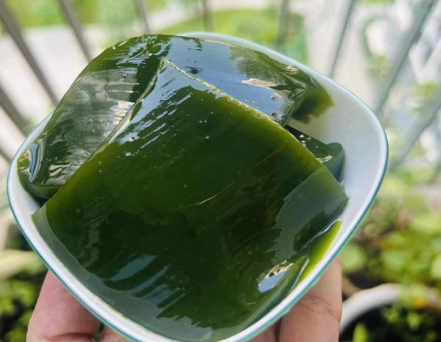 Thạch lá sương sâm rất hút khách vào mùa hè