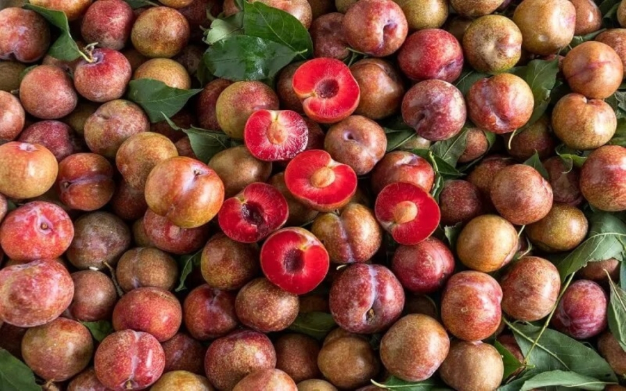 Món ăn vặt này không thể thiếu đối với chị em phụ nữ vào dịp hè.